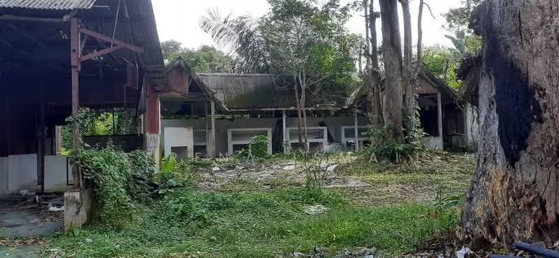 Tanah Pertanian untuk Dijual di Kampung Lubok Kelubi (Hulu Langat) - Serena Ismail - PropertyGuru.com.my