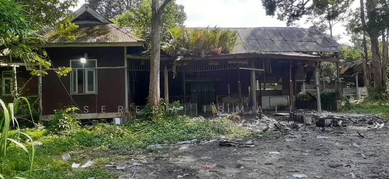 Tanah Pertanian untuk Dijual di Kampung Lubok Kelubi (Hulu Langat) - Serena Ismail - PropertyGuru.com.my