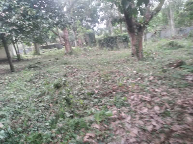 Tanah Pertanian untuk Dijual di Kampung Lubok Kelubi (Hulu Langat) - Serena Ismail - PropertyGuru.com.my