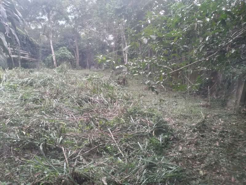 Tanah Pertanian untuk Dijual di Kampung Lubok Kelubi (Hulu Langat) - Serena Ismail - PropertyGuru.com.my