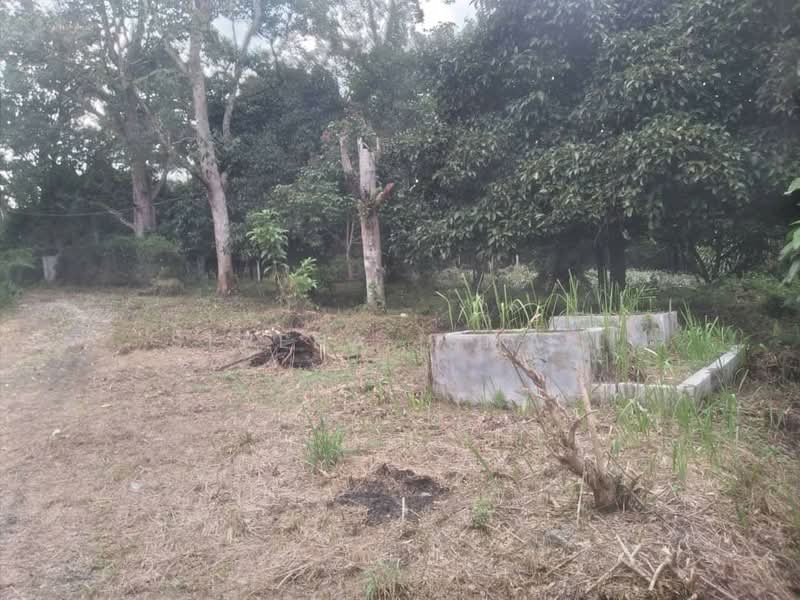 Tanah Pertanian untuk Dijual di Kampung Lubok Kelubi (Hulu Langat) - Serena Ismail - PropertyGuru.com.my