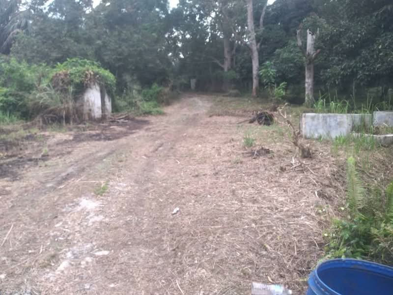 Tanah Pertanian untuk Dijual di Kampung Lubok Kelubi (Hulu Langat) - Serena Ismail - PropertyGuru.com.my
