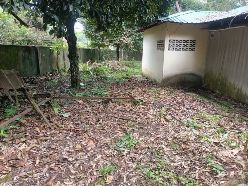 Tanah Pertanian untuk Dijual di Kampung Lubok Kelubi (Hulu Langat) - Serena Ismail - PropertyGuru.com.my