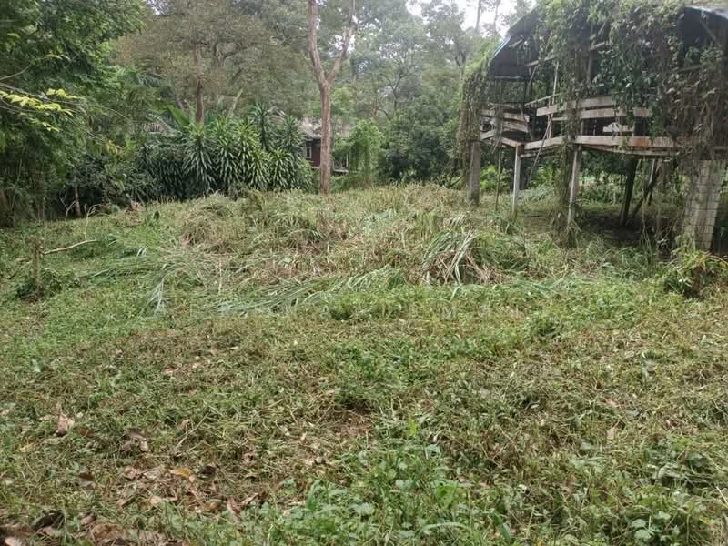 Tanah Pertanian untuk Dijual di Kampung Lubok Kelubi (Hulu Langat) - Serena Ismail - PropertyGuru.com.my