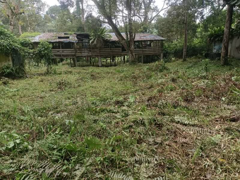 Tanah Pertanian untuk Dijual di Kampung Lubok Kelubi (Hulu Langat) - Serena Ismail - PropertyGuru.com.my