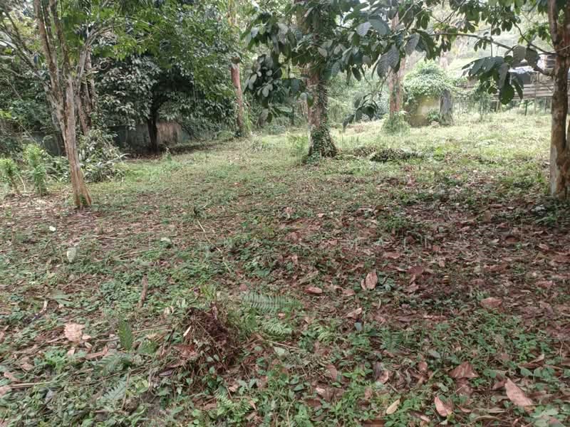 Tanah Pertanian untuk Dijual di Kampung Lubok Kelubi (Hulu Langat) - Serena Ismail - PropertyGuru.com.my