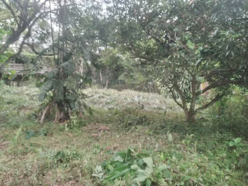 Tanah Pertanian untuk Dijual di Kampung Lubok Kelubi (Hulu Langat) - Serena Ismail - PropertyGuru.com.my
