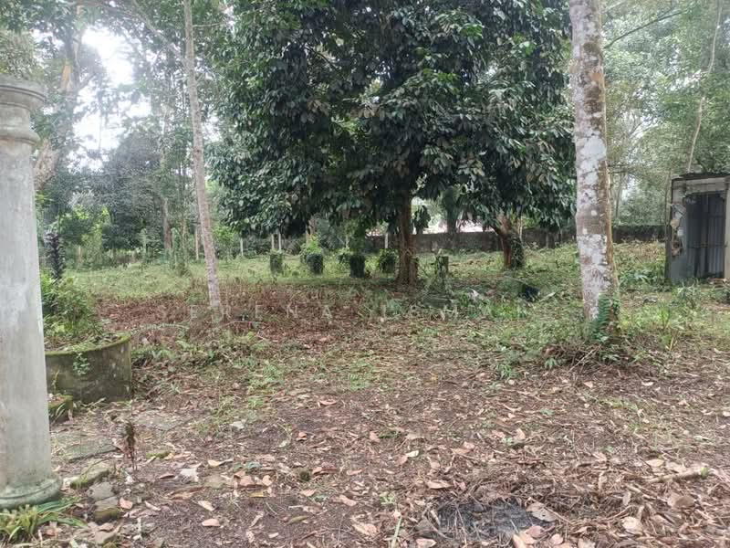 Tanah Pertanian untuk Dijual di Kampung Lubok Kelubi (Hulu Langat) - Serena Ismail - PropertyGuru.com.my