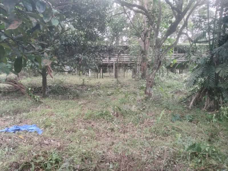 Tanah Pertanian untuk Dijual di Kampung Lubok Kelubi (Hulu Langat) - Serena Ismail - PropertyGuru.com.my