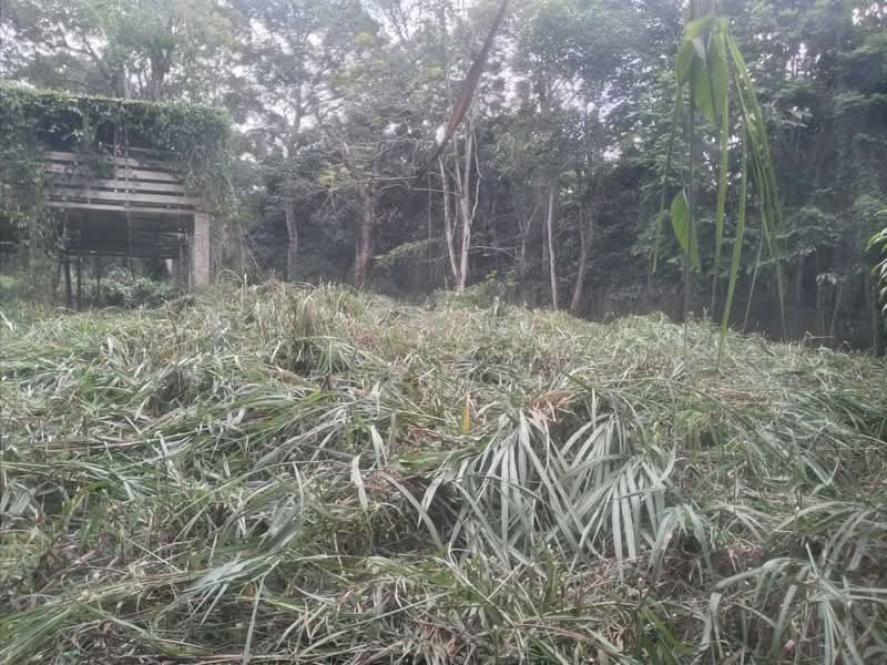Tanah Pertanian untuk Dijual di Kampung Lubok Kelubi (Hulu Langat) - Serena Ismail - PropertyGuru.com.my