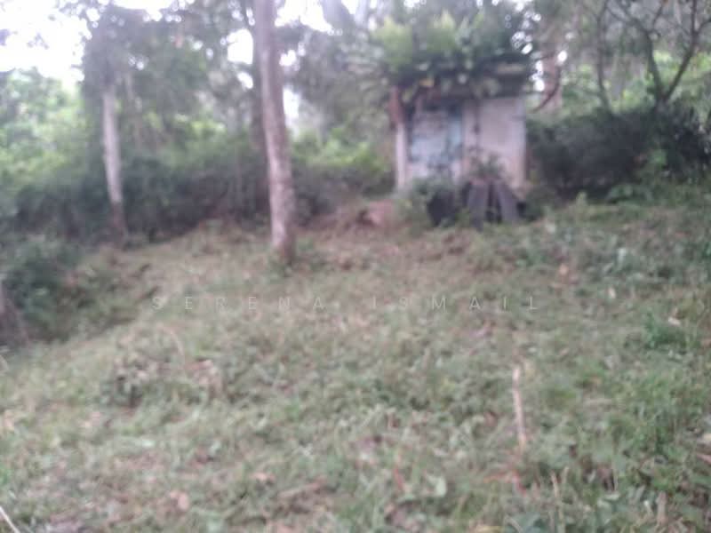 Tanah Pertanian untuk Dijual di Kampung Lubok Kelubi (Hulu Langat) - Serena Ismail - PropertyGuru.com.my