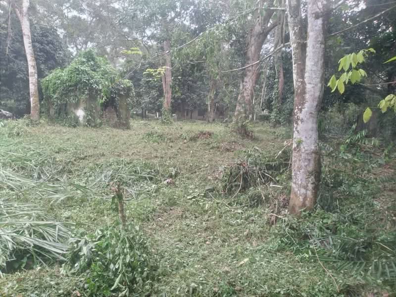 Tanah Pertanian untuk Dijual di Kampung Lubok Kelubi (Hulu Langat) - Serena Ismail - PropertyGuru.com.my