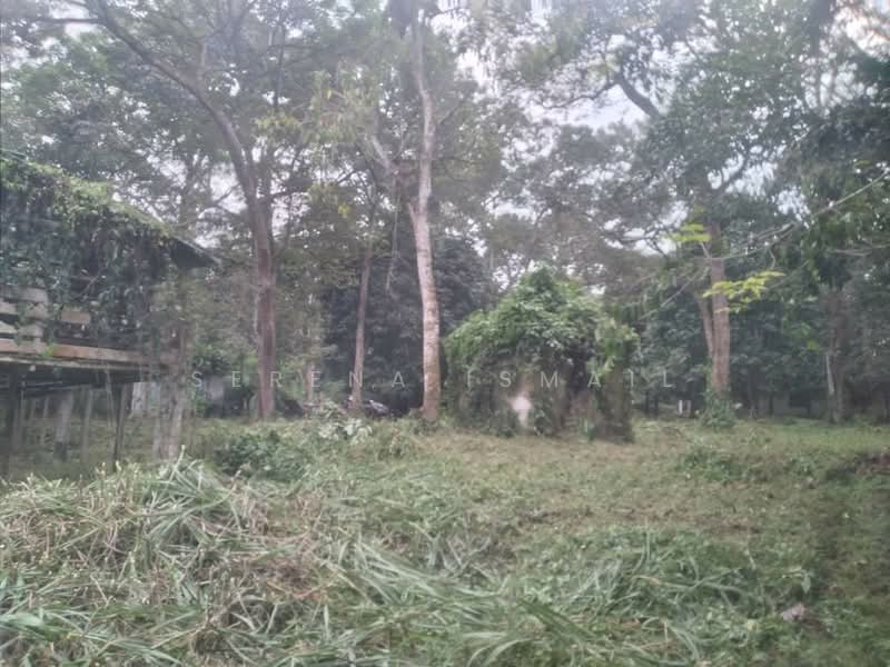 Tanah Pertanian untuk Dijual di Kampung Lubok Kelubi (Hulu Langat) - Serena Ismail - PropertyGuru.com.my