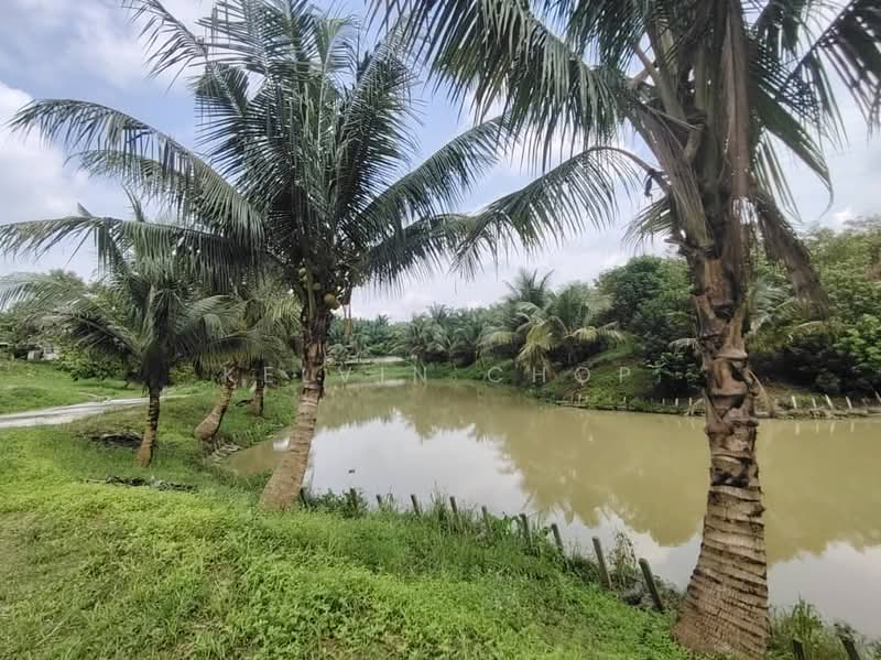 Agricultural Land for Sale in Kampung Baru Ban Foo (Ulu Tiram) - Kelvin Chop - Exterior - PropertyGuru.com.my