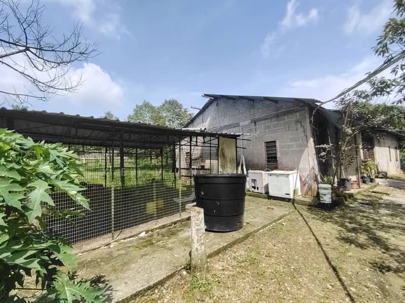 Agricultural Land for Sale in Kampung Baru Ban Foo (Ulu Tiram) - Kelvin Chop - Exterior - PropertyGuru.com.my