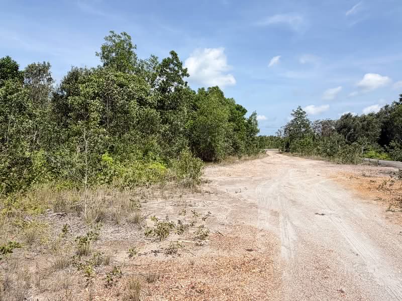 Residential Land for Sale in Dungun (Terengganu) - Muhammad Najmi - Exterior - PropertyGuru.com.my