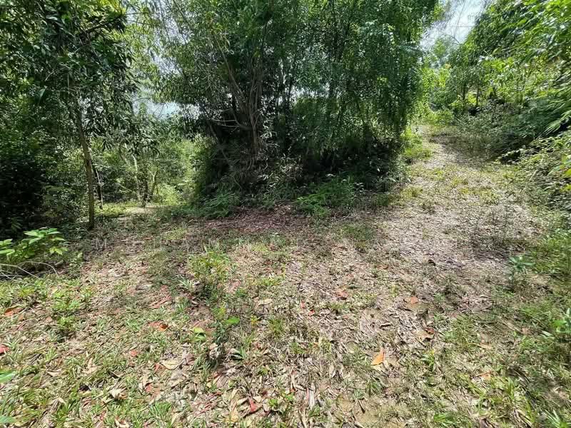 Commercial Land for Sale in Dungun (Terengganu) - Muhammad Najmi - Exterior - PropertyGuru.com.my