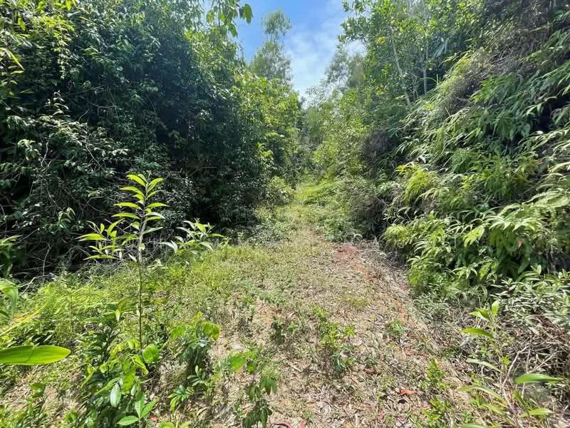 Commercial Land for Sale in Dungun (Terengganu) - Muhammad Najmi - Exterior - PropertyGuru.com.my