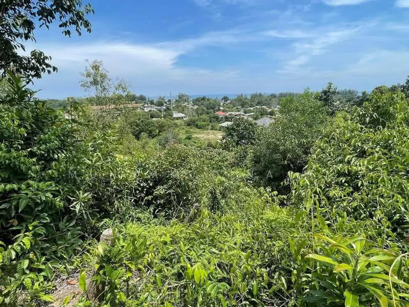 Commercial Land for Sale in Dungun (Terengganu) - Muhammad Najmi - Exterior - PropertyGuru.com.my