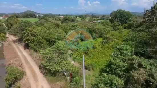 Tanah Pertanian untuk Dijual di Bukit Mertajam (Penang) - Alvin Seah - PropertyGuru.com.my