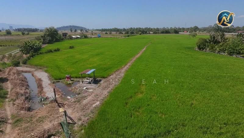 Tanah Pertanian untuk Dijual di Bukit Mertajam (Penang) - Alvin Seah - Exterior - PropertyGuru.com.my