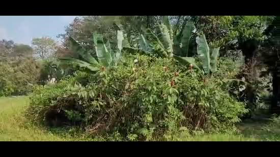 Tanah Kediaman untuk Dijual di Saujana Impian (Kajang) - Uswani Mazuwan - PropertyGuru.com.my