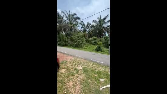 Agricultural Land for Sale in Simpang Renggam (Johor) - Qiu Rong - PropertyGuru.com.my