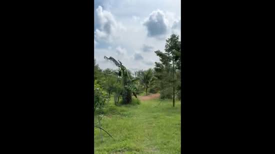 Agricultural Land for Sale in Simpang Renggam (Johor) - Qiu Rong - PropertyGuru.com.my