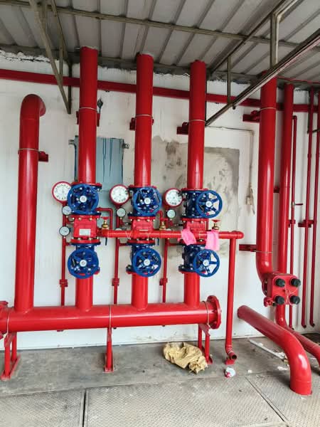 Kilang Terpisah untuk Dijual di Pasir Gudang (Johor) - Elvy Lee - PropertyGuru.com.my