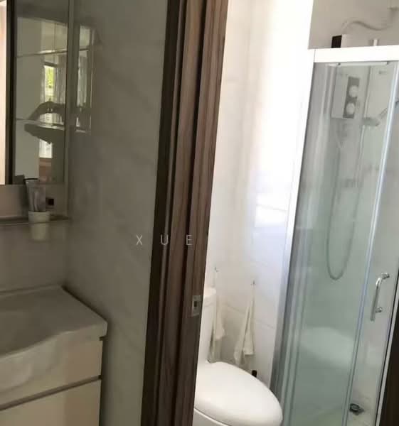 Apartment for Rent at Starview Bay @ Forest City - Xue Li - Bathroom - PropertyGuru.com.my
