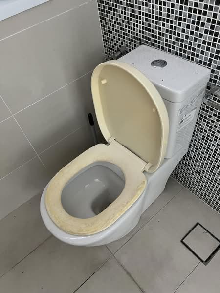 Rumah Teres 2 Tingkat untuk Dijual di SS 23, Taman Sea (Petaling Jaya) - Hwa Kong Ding - Bathroom - PropertyGuru.com.my