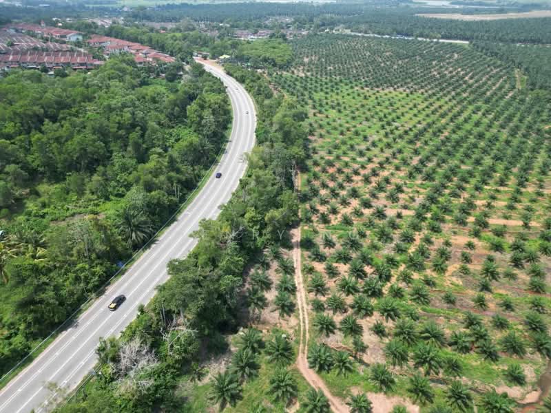 Tanah Pertanian untuk Dijual di Sungai Petani (Kedah) - Henry Ng - Exterior - PropertyGuru.com.my