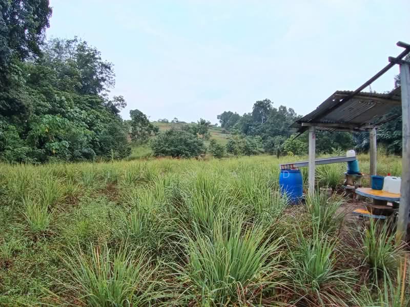 Agricultural Land for Sale in Bandar Tasik Senangin (Lenggeng) - Liza Khalid - PropertyGuru.com.my