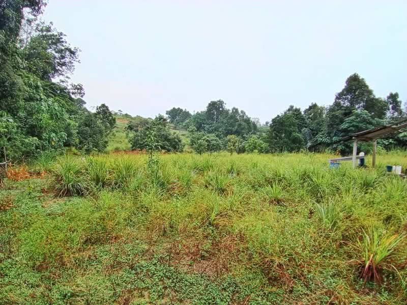 Agricultural Land for Sale in Bandar Tasik Senangin (Lenggeng) - Liza Khalid - PropertyGuru.com.my