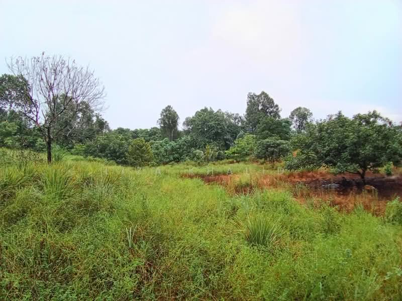 Agricultural Land for Sale in Bandar Tasik Senangin (Lenggeng) - Liza Khalid - PropertyGuru.com.my