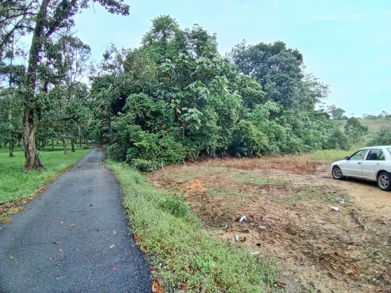 Agricultural Land for Sale in Bandar Tasik Senangin (Lenggeng) - Liza Khalid - PropertyGuru.com.my
