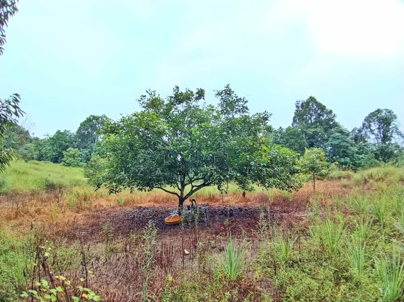Agricultural Land for Sale in Bandar Tasik Senangin (Lenggeng) - Liza Khalid - PropertyGuru.com.my