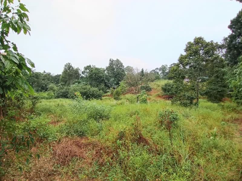 Agricultural Land for Sale in Bandar Tasik Senangin (Lenggeng) - Liza Khalid - PropertyGuru.com.my