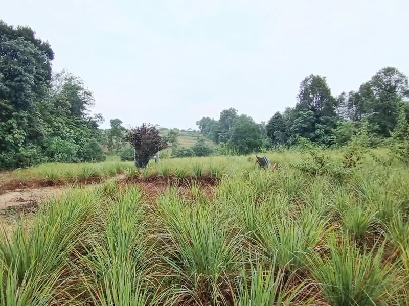 Agricultural Land for Sale in Bandar Tasik Senangin (Lenggeng) - Liza Khalid - PropertyGuru.com.my