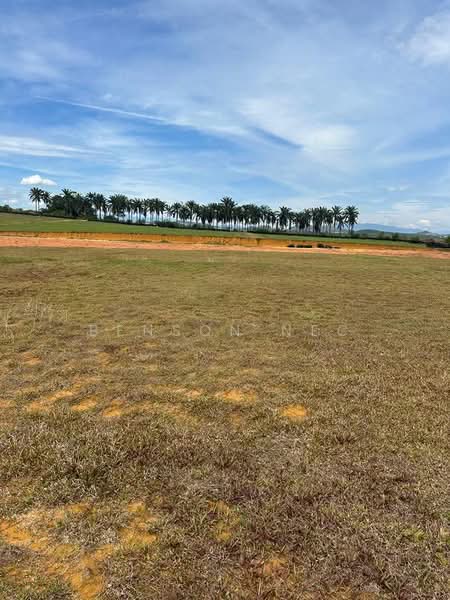 Agricultural Land for Sale in Johor Bahru (Johor) - Benson NEC - Exterior - PropertyGuru.com.my