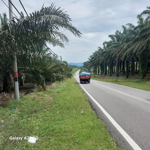 Agricultural Land for Sale in Kota Tinggi (Johor) - Kenny Ong - PropertyGuru.com.my