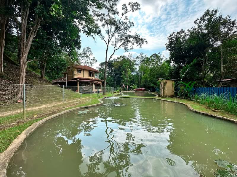 Tanah Pertanian untuk Dijual di Janda Baik (Bentong) - Luqman Ramli - Exterior - PropertyGuru.com.my