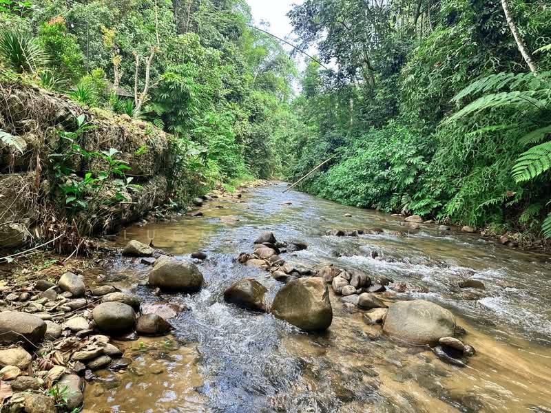 Tanah Pertanian untuk Dijual di Janda Baik (Bentong) - Luqman Ramli - Exterior - PropertyGuru.com.my