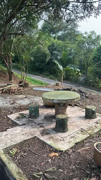 Agricultural Land for Rent in Kempas (Johor Bahru) - Peggie Chua - Exterior - PropertyGuru.com.my