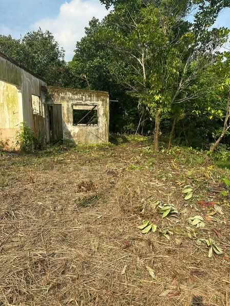 Agricultural Land for Rent in Kempas (Johor Bahru) - Peggie Chua - PropertyGuru.com.my