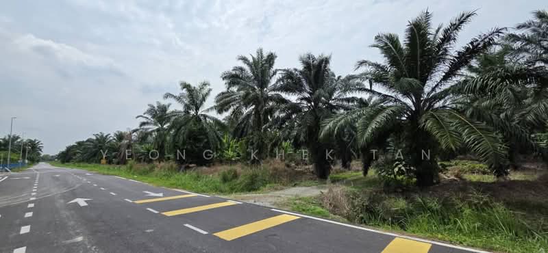 Agricultural Land for Sale in Teluk Panglima Garang (Banting) - Yeong Khek Tan - Exterior - PropertyGuru.com.my