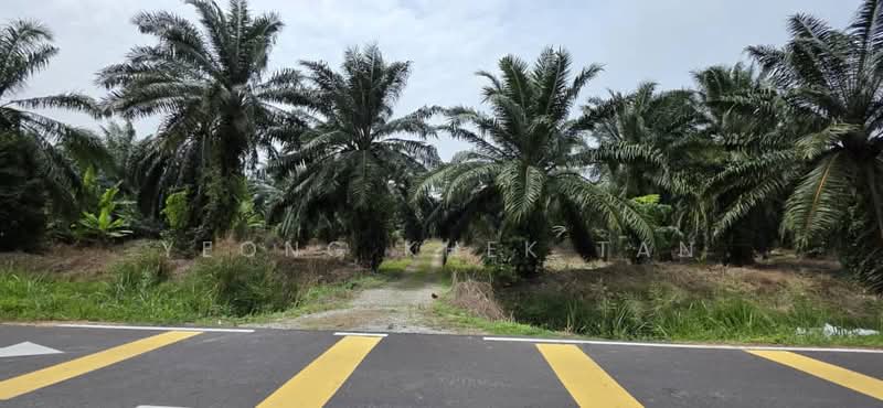 Agricultural Land for Sale in Teluk Panglima Garang (Banting) - Yeong Khek Tan - Exterior - PropertyGuru.com.my