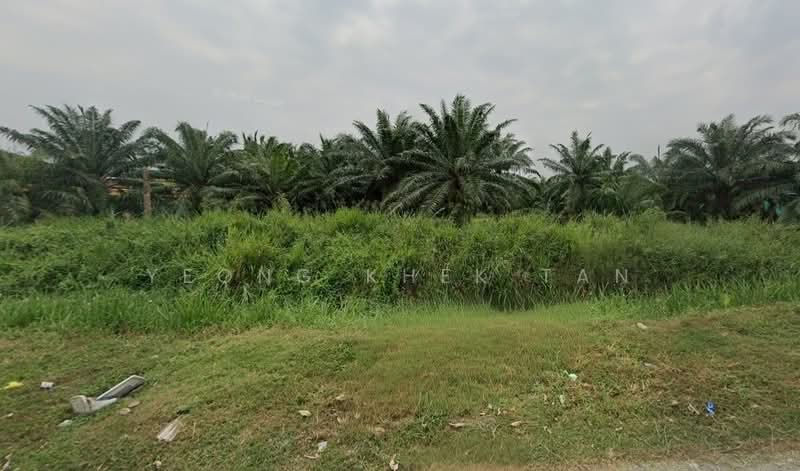 Agricultural Land for Sale in Teluk Panglima Garang (Banting) - Yeong Khek Tan - Exterior - PropertyGuru.com.my
