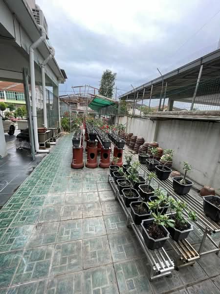 Semi-Detached House for Sale in Taman Birch (Ipoh) - Jeff Tan - Exterior - PropertyGuru.com.my