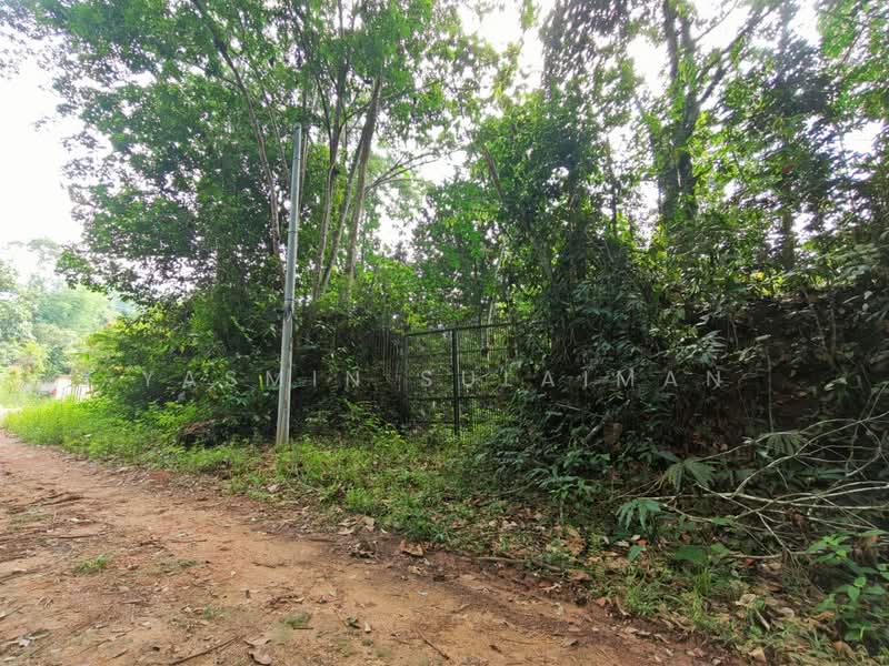 Tanah Pertanian untuk Dijual di Pekan Hulu Langat (Hulu Langat) - Yasmin Sulaiman - Exterior - PropertyGuru.com.my